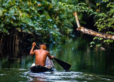 PERU ADVENTURE TOURS Best lodges for the Peruvian Amazon tours | PERU ...