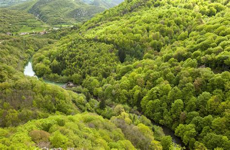 Irati forest | Visit Navarra - Official Website of the Navarre Tourist ...