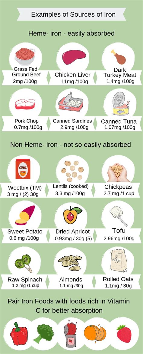 Iron Rich Foods For Toddlers Handout | Deporecipe.co