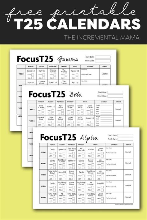 Free Printable Focus T25 Calendar (Alpha, Beta & Gamma) | T25 calendar ...