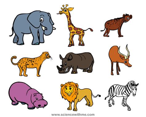 Science With Me - Learn about Safari Animals