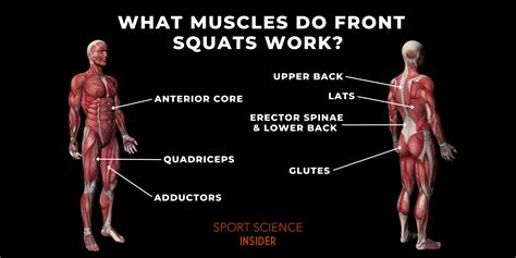 What Muscles Do Front Squats Work? – Sport Science Insider