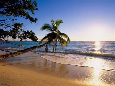 3D Beach Wallpapers HD Images New Desktop Background