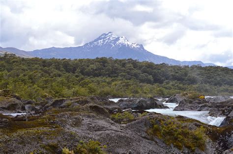 The Chilean Forest: Vicente Pérez Rosales National Park and the ...