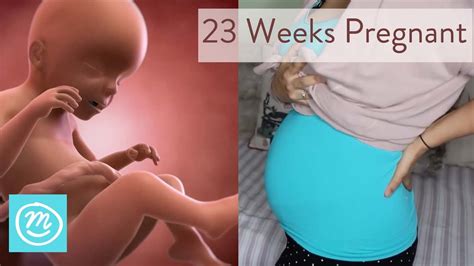 23 Weeks Pregnant: What You Need To Know - Channel Mum - YouTube