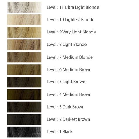 Hair Color Levels: A Detailed Guide 2024 | Fashionterest