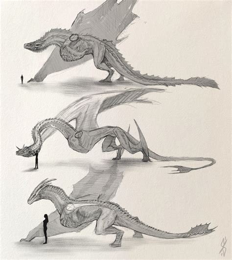 Dragon anatomy by sioSIN on DeviantArt