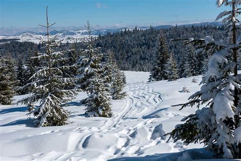 Idaho Skiing - The Lodge Bronze Buffalo Ranch