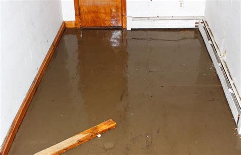 How to Clean a Flooded Basement | News and Events for Basement Systems ...