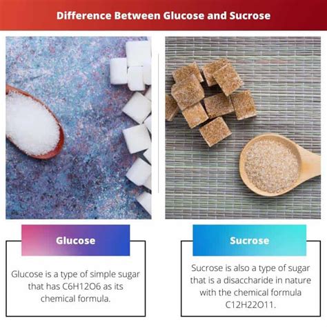 Glucose vs Sucrose: Difference and Comparison