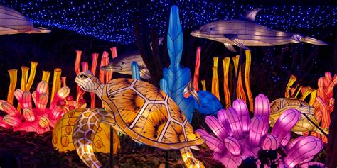 Bronx Zoo Holiday Lights 2024 | Everything you need to know! [UDPATE]