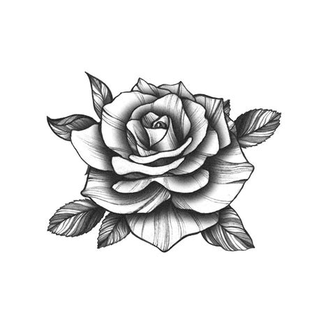 Black Rosebud Tattoo | Realistic Temporary Tattoos – TattooIcon