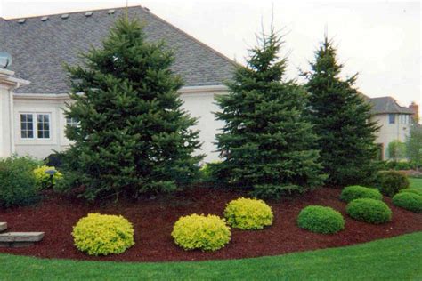 Beautiful Landscaping With Evergreens | Landscape Designs For Your Home ...