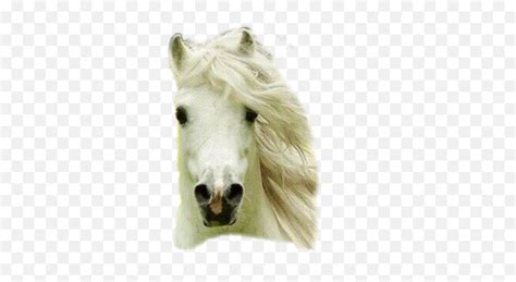 Sticker Horse Head Sticker By Alisonrjohnson5445gm - Mustang Emoji ...