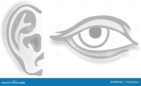 Eye and ear stock illustration. Illustration of ophthalmologist - 89804381