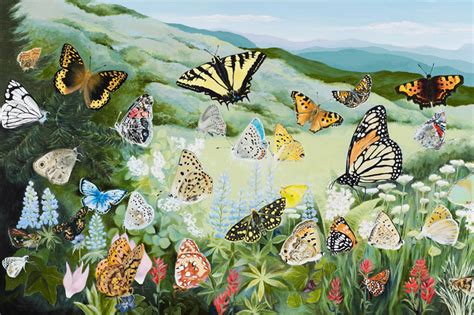 The Story of the Butterfly Posters | Biodiversity Arts | Deb Van Poolen