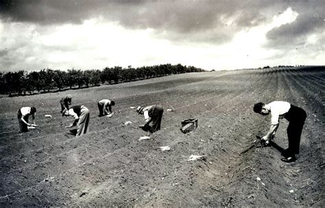 Asparagus & the Vale of Evesham - Worcestershire Archive & Archaeology ...