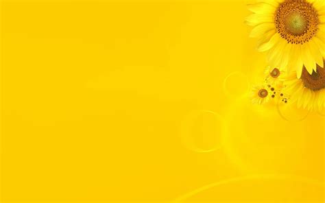 HD Sunflower Wallpaper - WallpaperSafari