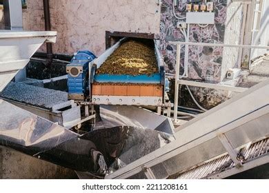 2,880 Pomace Stock Photos, Images & Photography | Shutterstock