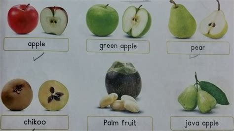 Fruits with Few seeds,कुछ बीजों वाले फलो का नाम.|Learn fruits name in ...