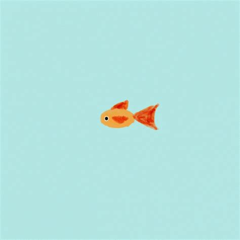 "Fish Swimming GIF" – "Fish Swimming Just" – знаходьте анімації GIF і ...