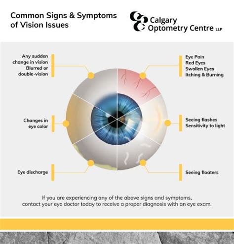 Common Eye Diseases & Issues | Calgary Optometry