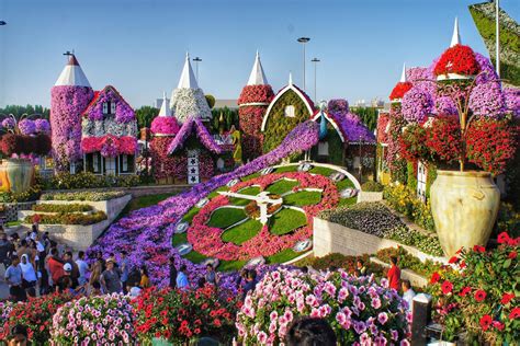 Dubai Miracle Garden Timings, Location, and Tickets | Veena World