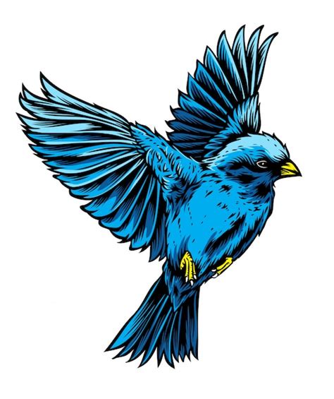 Premium Vector | Blue bird vector