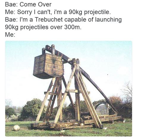 Trebuchet is the best meme of 2016 : r/dankmemes