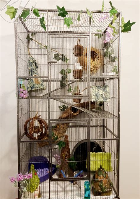 Natural Garden Theme Rat Cage | Rat cage, Pet rat cages, Pet rats