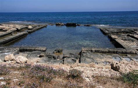 Roman fish tanks track ancient sea level | Harvard Magazine