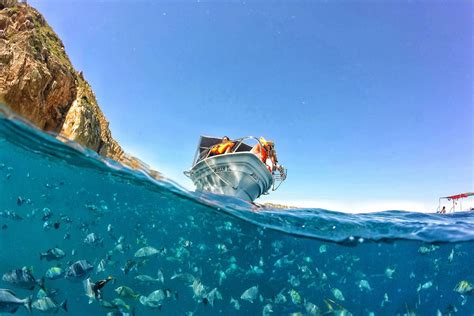 Cabo San Lucas Snorkeling Tours | Los Cabos Boat tours