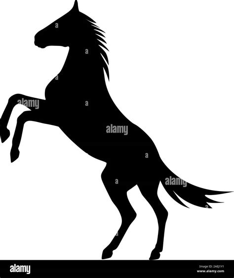 rearing up horse vector silhouette Stock Vector Image & Art - Alamy