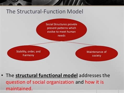 Functionalist perspective