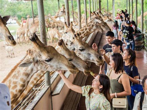 Safari World Bangkok Tickets Price | Promotion 2020 | Traveloka