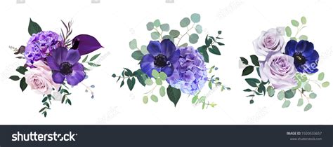 Marvelous Violet Purple Burgundy Anemone Dusty Stock Vector (Royalty ...