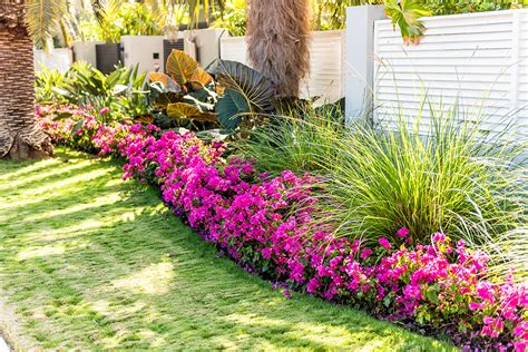 Landscaping ideas for Florida curb appeal - Passage Island Construction