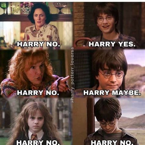 hp memes - Google Search | Harry potter funny, Harry potter memes ...