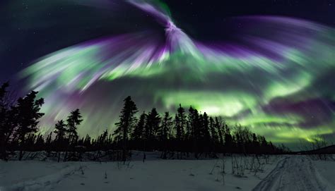 Fairbanks Alaska Northern Lights Forecast | Shelly Lighting