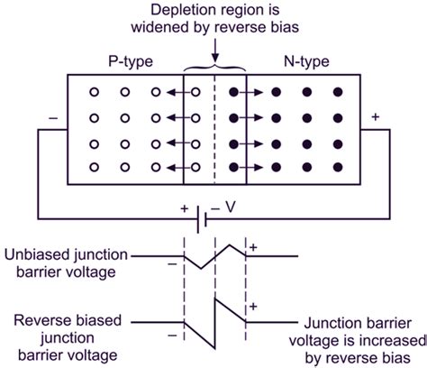 Zener Diode Reverse Bias Circuit Diagram