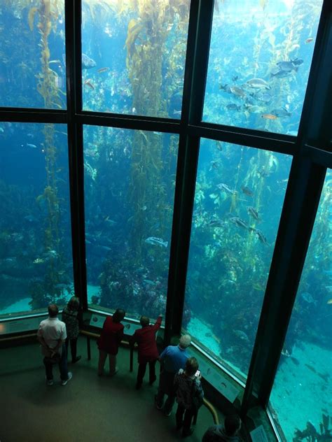 people standing in front of an aquarium looking at the fish and other ...