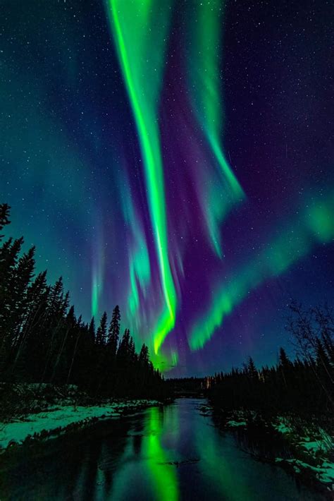 Chena slough North Pole | Northern lights photography, Northern lights ...