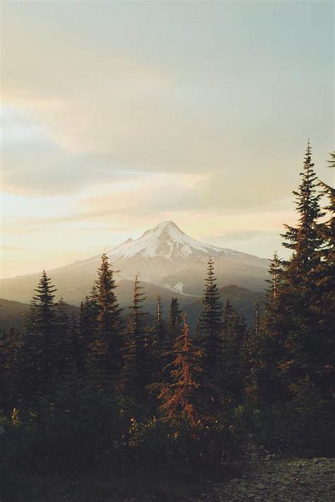 Oregon Dreaming | Nature photography, Beautiful nature, Landscape ...