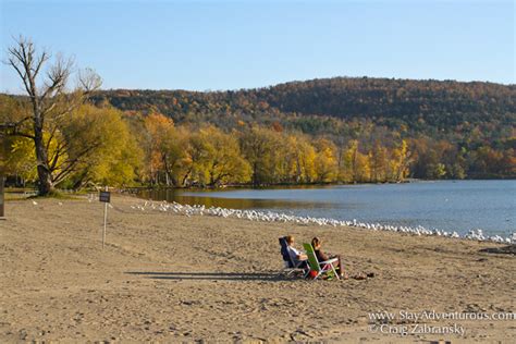 The Lake Beach of Glimmerglass State Park with Fall Foliage | Stay ...