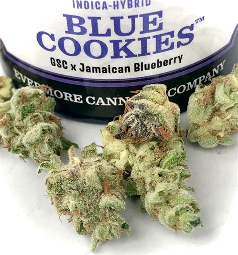 Blue Cookies by Evermore - Maryland Cannabis Reviews