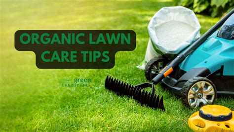 Eco-friendly Lawn Care Tips for Every Season | Vision Green Landscape