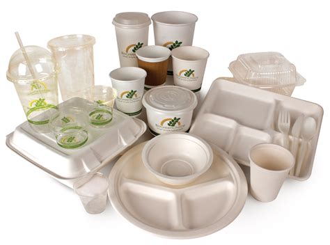 Eco-Friendly products | Biodegradable products, Disposable plates ...