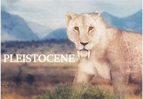 Second Title Change, Now PLEISTOCENE + Wildlife of PLEISTOCENE ...