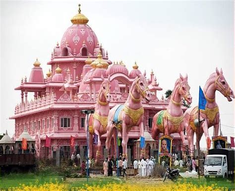 How To Start A Garden From Scratch Anantapur India