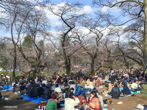 Sakura 2016: Inokashira Park – Lakbayer